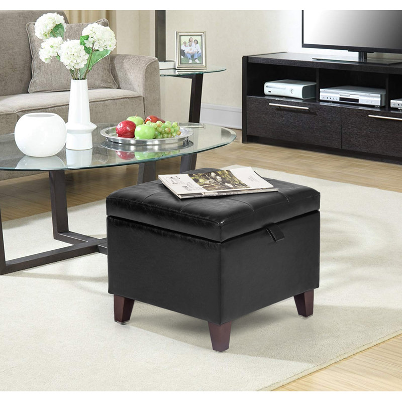 Darl brown deals leather coffee table with storage